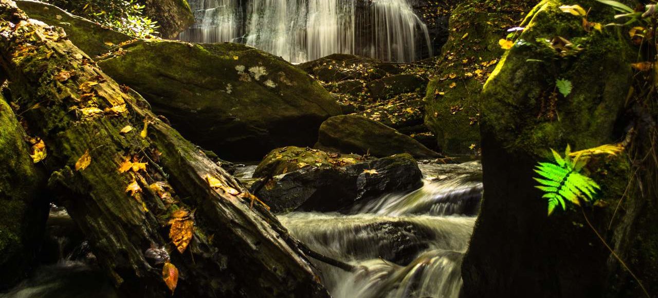 Possum Creek Trail Visit Oconee South Carolina