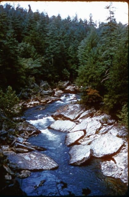 arial photo of the chattooga river