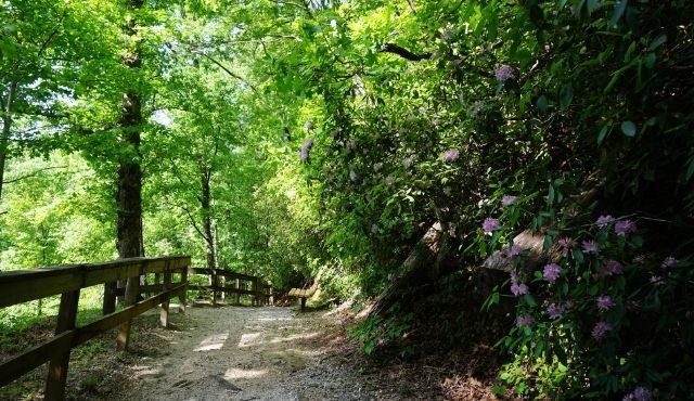 photo of bench along trail