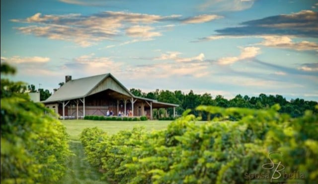 Photo of Chattooga Belle Farm