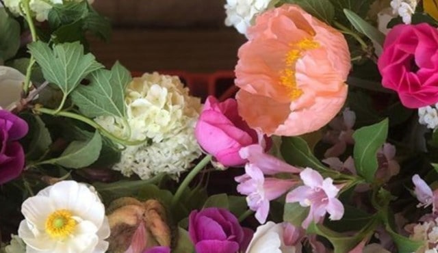 Image of flowers from Earth Blooms Flower Farm