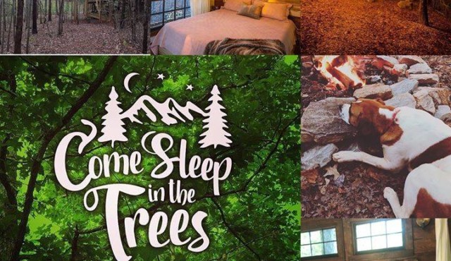 photo collage with Come Sleep in the trees logo