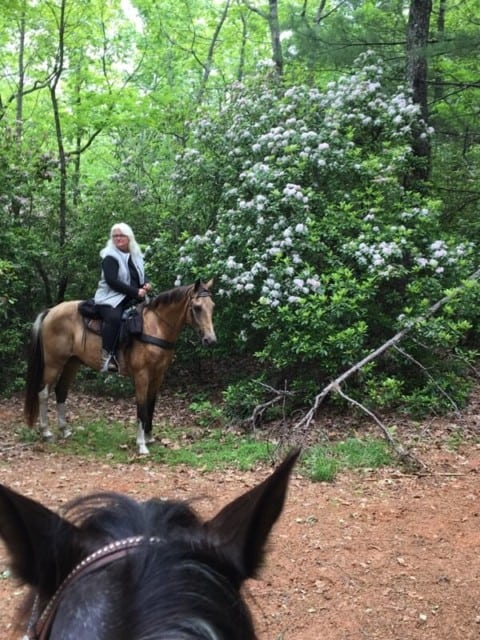 Horse and rider on trail