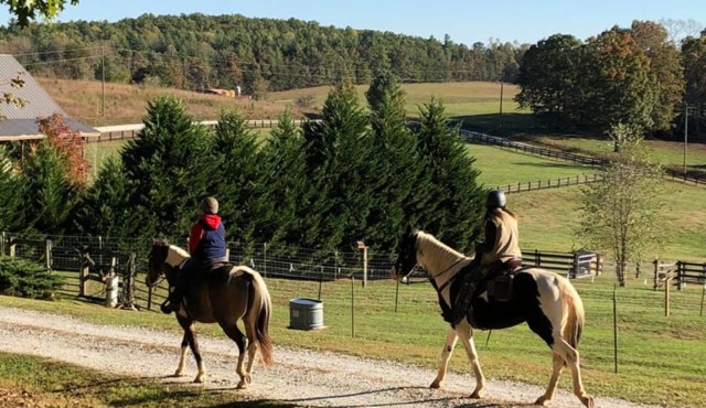 photo of horses and riders at Chattooga Trails Bed and Barn