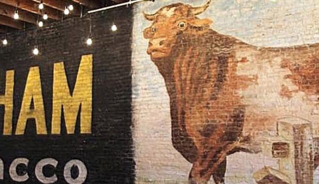 image of bull durham wall mural