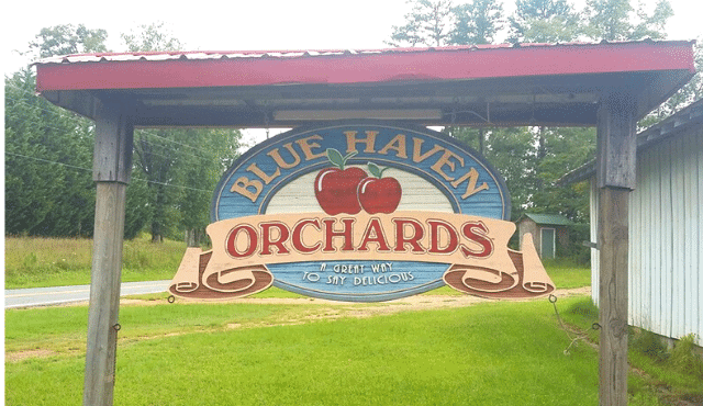 photo of Blue Haven Orchards sign