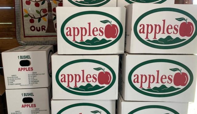 photo of apple boxes