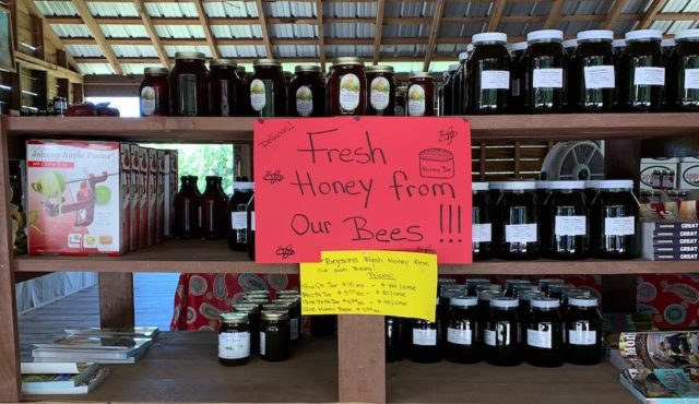 Photo of honey available at Brysons Upick