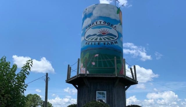 image of Chattooga Belle Farm windmill mural