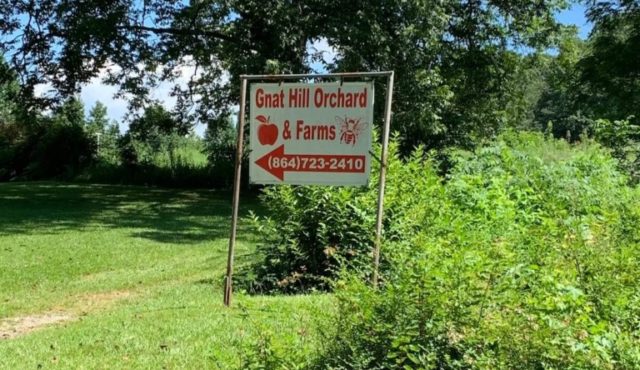 image of Gnat hill orchard sign