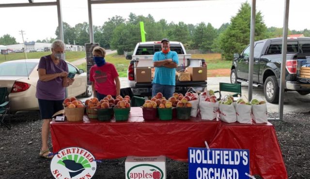 Photo of hollifileds booth at foothills heritage market