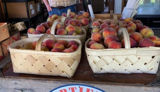 photo of Mike Ables with baskets of peaches