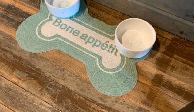 image of dog bowls in the Chattooga Room loft