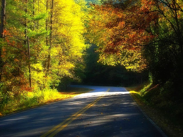 photo of road with colorful fall foliage