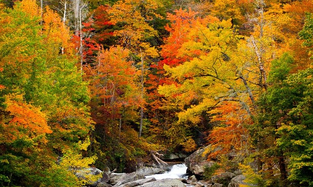 Photo of Lower Whitewater falls by Bernard Robin