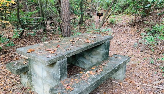 photo of picnic tables at Stumphouse Park