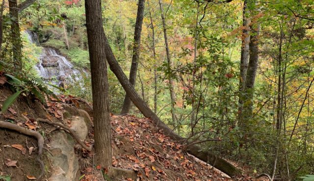 Photo from trail of Issaqueena Falls