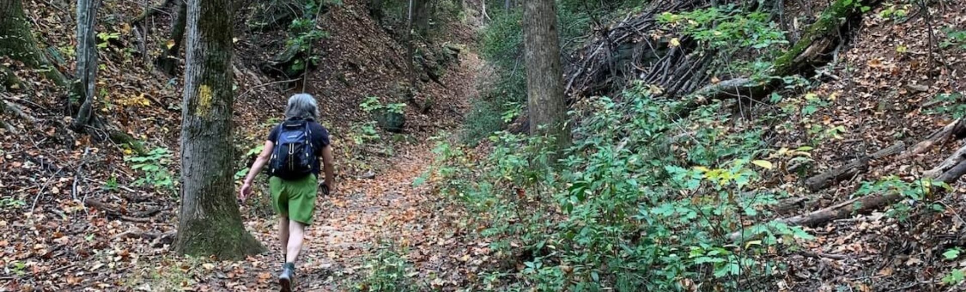 image of a hiker in the woods