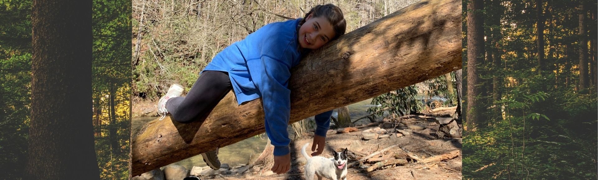 photo of girl on a log and dog