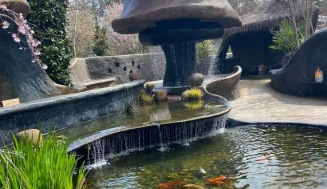 photo of pond at The Oasis Ranch