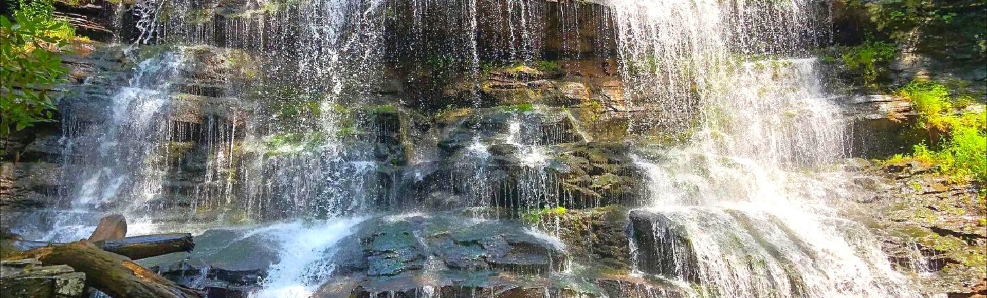 cropped photo of station cove falls