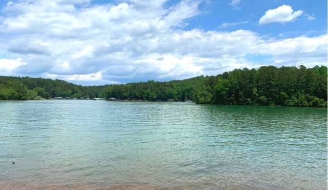 photo of a lake
