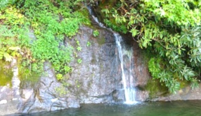 photo of trickle falls