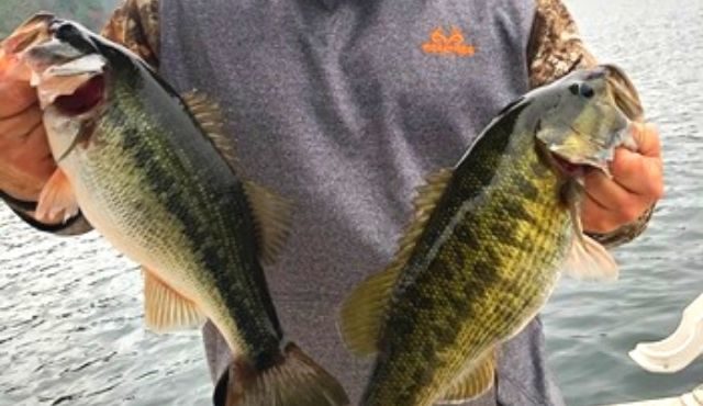 photo of Captain Zach of Jocassee Lake Tours holding catch of the day