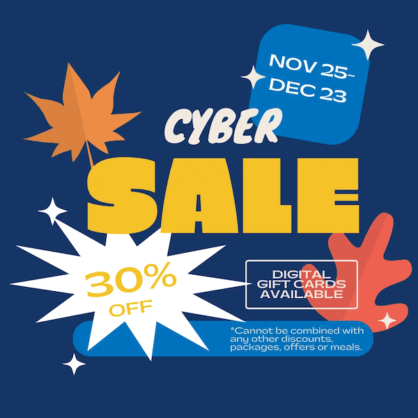 graphic flier about Wildwater's 2022 Cyber Sale