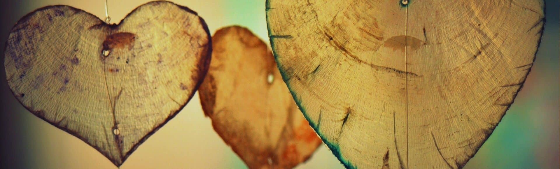 image of natural hearts