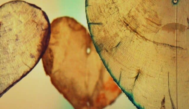 image of natural hearts