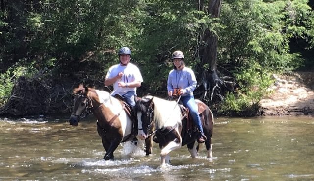 photo of horses in river