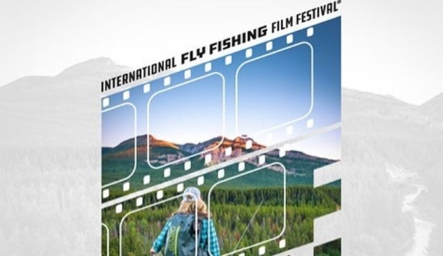 image for International Film Festival