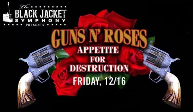 image for Guns N Roses show