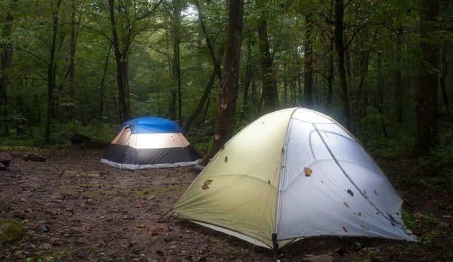 image of 2 tents in woods