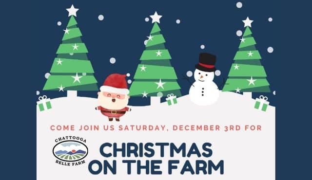 image for Christmas on the Farm event