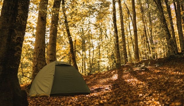 burrells ford camping