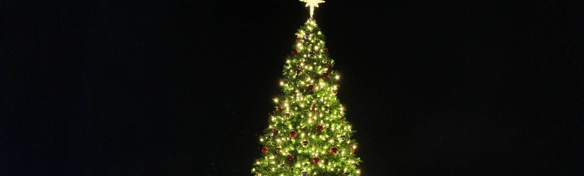 cropped photo of lighted Christmas tree