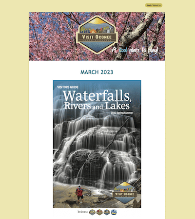 image of March newsletter screenshot