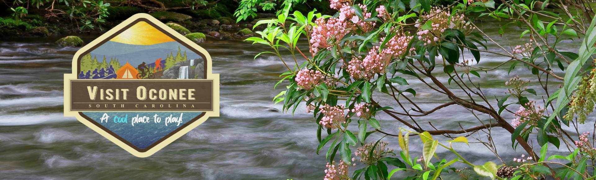 featured image May newsletter