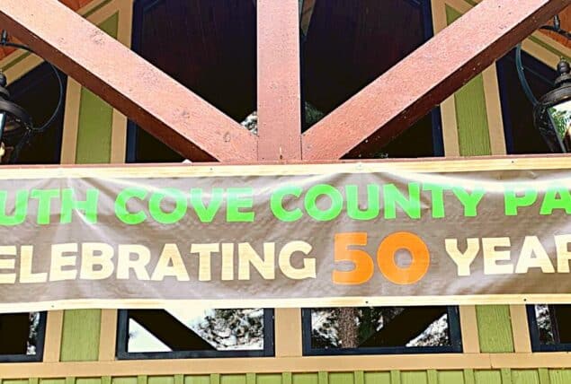 image of south cove 50 years banner