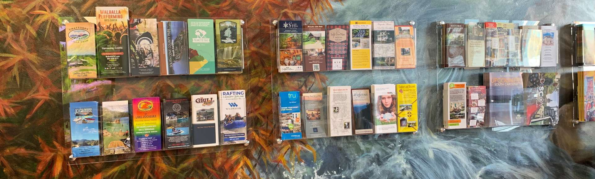 photo of brochures on wall