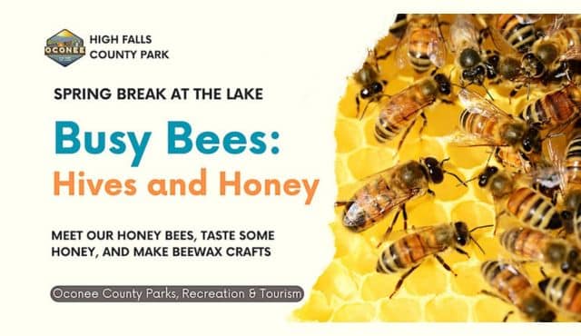 flier fro Bees program at High Falls Park