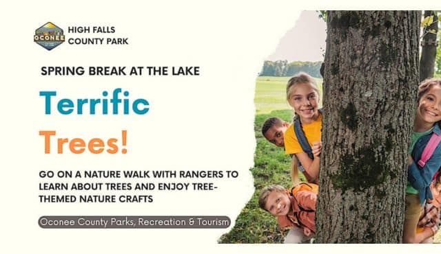 image for Trees spring break program at High Falls park