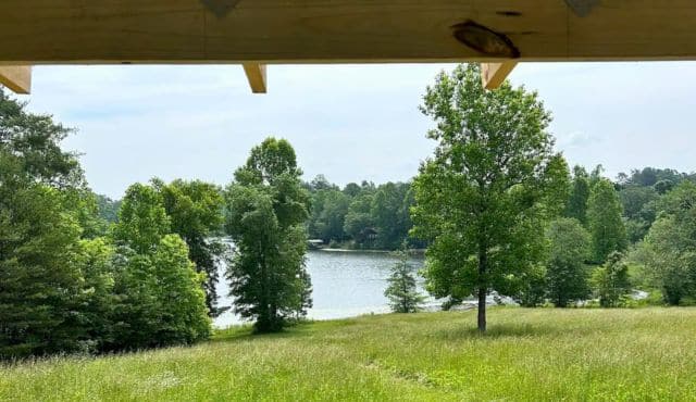 photo of the view from Monk's Corner camping cabin