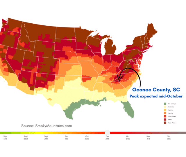 2025 foliage predictor map