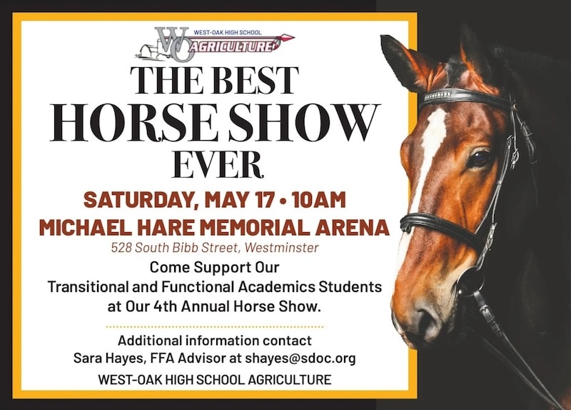 flier for horse show