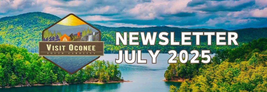 header image for July newsletter
