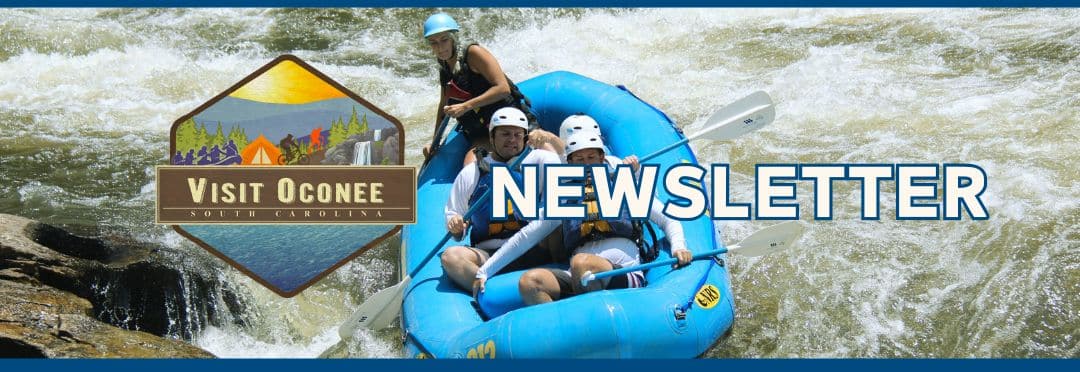 header image for August newsletter