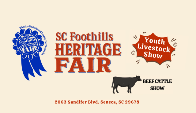beef cattle show flier
